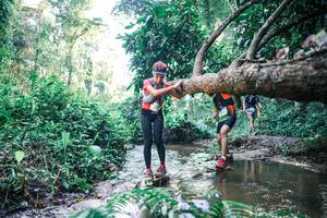 BIB: 
                            <button type="button" onclick="openModal(25434869)" class="btn btn-primary btn-sm float-right btn-popup" data-toggle="modal" data-target=".modal-high-quality">
                        <i class="fas fa-shopping-cart"></i> Add to Cart
                    </button>
                                            <button type="button" onclick="isThisMe(25434869, true)" class="btn btn-success btn-sm float-right btn-popup btn-isme hidden" data-toggle="tooltip" data-placement="bottom" title="นี่คือรูปของคุณใช่ไหม คลิกที่นี่เพื่อเอาเข้าอัลบั้ม">
                        <i class="fas fa-plus"></i> Add to album
                    </button>
                    <button type="button" onclick="isThisMe(25434869, false)" class="btn btn-warning btn-sm float-right btn-popup btn-isnotme hidden">
                        <i class="fas fa-ban"></i> Remove from album
                    </button>